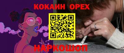 гашик Донской