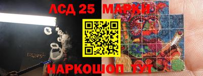 гашик Донской