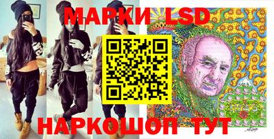 гашик Донской