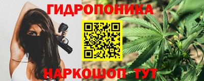 гашик Донской