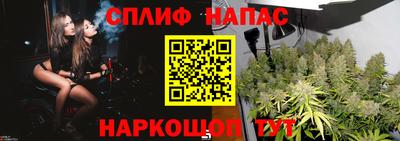 гашик Донской