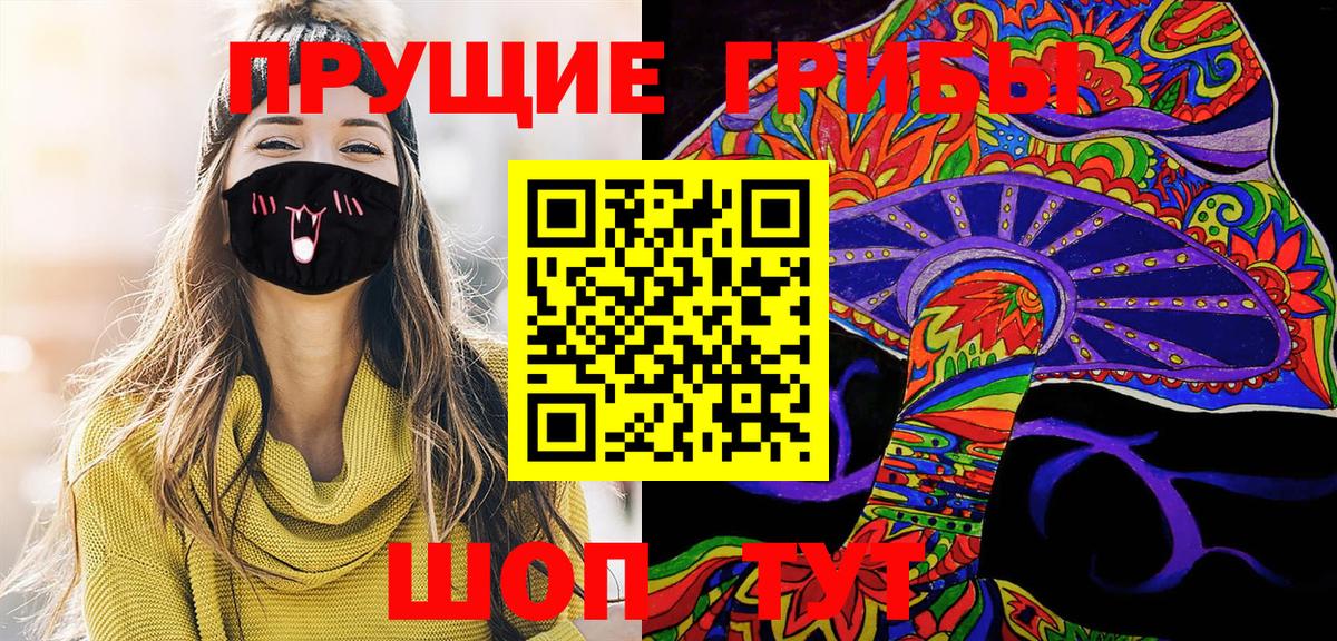 Псилоцибиновые грибы Psilocybe Ликино-Дулёво